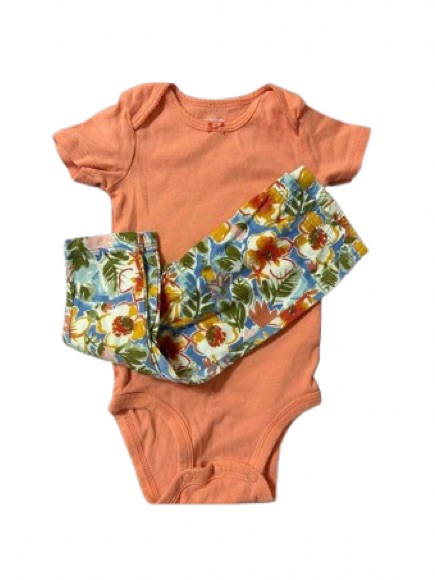 Carter-S Baby Girl Outfit